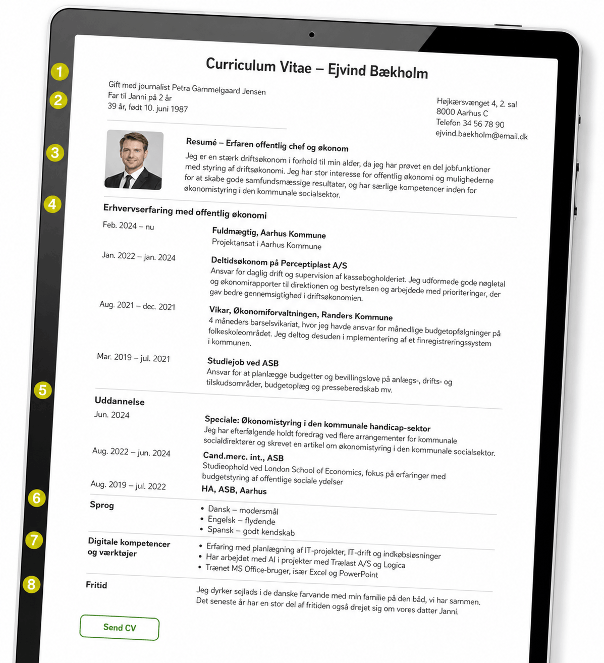 CV - eksempel